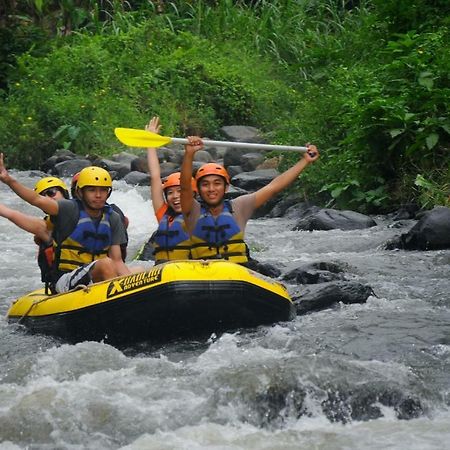 Gandrung City Hostel Banyuwangi  Luaran gambar